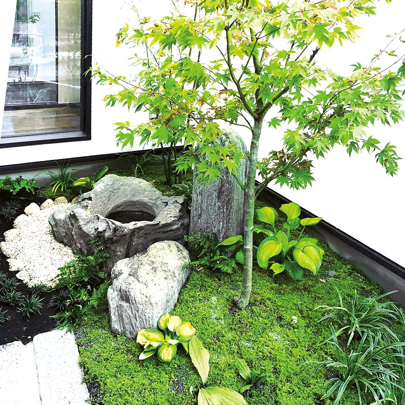 苔と植栽の調和を楽しむ坪庭 | 家みつかる Web Magazine